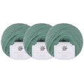 NICEEC 4 Skeins Soft Merino Wool Yarn - Soft & Warm, Finger Weight, Woolen Yarn for Crochet & Knitting